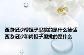 西游记沙僧担子里挑的是什么笑话 西游记沙和尚担子里挑的是什么