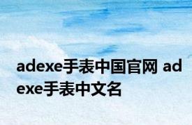 adexe手表中国官网 adexe手表中文名 