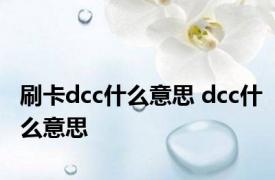 刷卡dcc什么意思 dcc什么意思