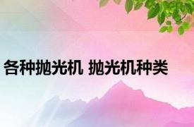 各种抛光机 抛光机种类 