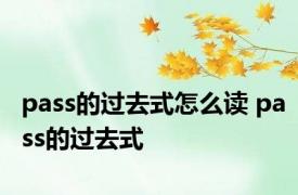 pass的过去式怎么读 pass的过去式 