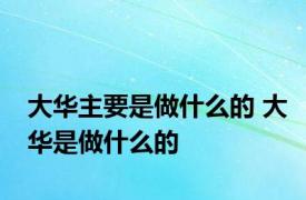 大华主要是做什么的 大华是做什么的