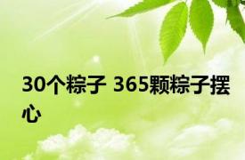 30个粽子 365颗粽子摆心 