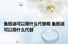 鱼豉油可以用什么代替呢 鱼豉油可以用什么代替