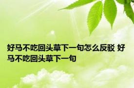 好马不吃回头草下一句怎么反驳 好马不吃回头草下一句 