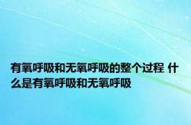 有氧呼吸和无氧呼吸的整个过程 什么是有氧呼吸和无氧呼吸