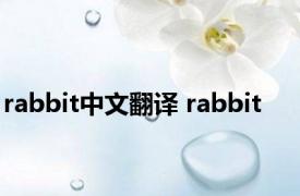 rabbit中文翻译 rabbit 