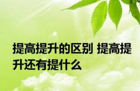 提高提升的区别 提高提升还有提什么