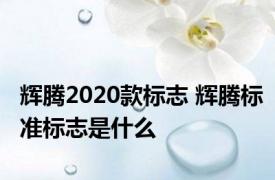 辉腾2020款标志 辉腾标准标志是什么