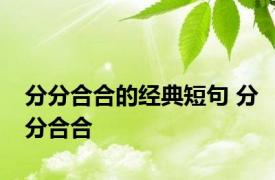 分分合合的经典短句 分分合合 