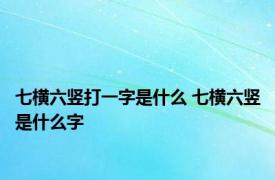 七横六竖打一字是什么 七横六竖是什么字