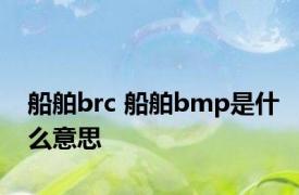 船舶brc 船舶bmp是什么意思