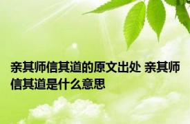 亲其师信其道的原文出处 亲其师信其道是什么意思