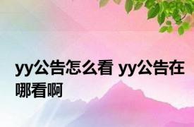 yy公告怎么看 yy公告在哪看啊 