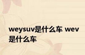 weysuv是什么车 wev是什么车