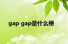 gap gap是什么梗