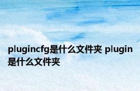 plugincfg是什么文件夹 plugin是什么文件夹