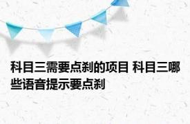 科目三需要点刹的项目 科目三哪些语音提示要点刹