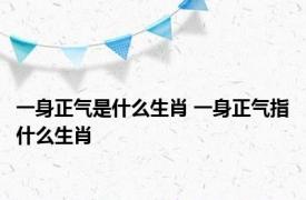 一身正气是什么生肖 一身正气指什么生肖 