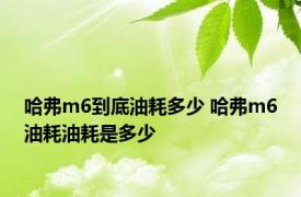 哈弗m6到底油耗多少 哈弗m6油耗油耗是多少