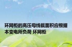 环网柜的高压母线截面积应根据本变电所负荷 环网柜 