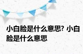 小白脸是什么意思? 小白脸是什么意思