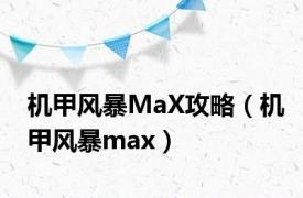 机甲风暴MaX攻略（机甲风暴max）