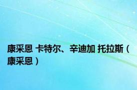 康采恩 卡特尔、辛迪加 托拉斯（康采恩）