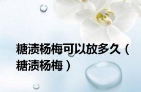 糖渍杨梅可以放多久（糖渍杨梅）