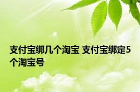 支付宝绑几个淘宝 支付宝绑定5个淘宝号 