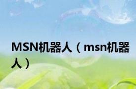 MSN机器人（msn机器人）