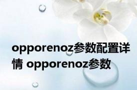 opporenoz参数配置详情 opporenoz参数 