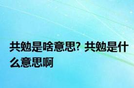 共勉是啥意思? 共勉是什么意思啊 