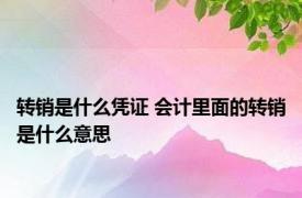 转销是什么凭证 会计里面的转销是什么意思