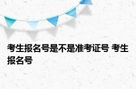 考生报名号是不是准考证号 考生报名号 