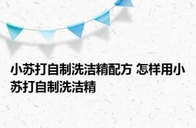 小苏打自制洗洁精配方 怎样用小苏打自制洗洁精