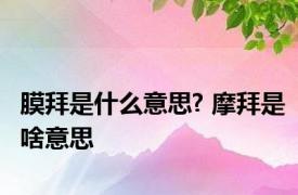 膜拜是什么意思? 摩拜是啥意思