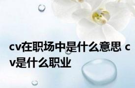 cv在职场中是什么意思 cv是什么职业