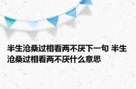 半生沧桑过相看两不厌下一句 半生沧桑过相看两不厌什么意思