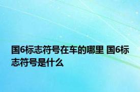 国6标志符号在车的哪里 国6标志符号是什么