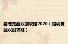 猎魂觉醒双剑攻略2020（猎魂觉醒双剑攻略）