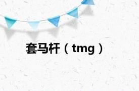 套马杆（tmg）