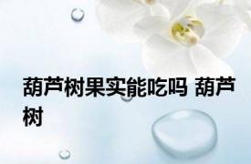 葫芦树果实能吃吗 葫芦树 