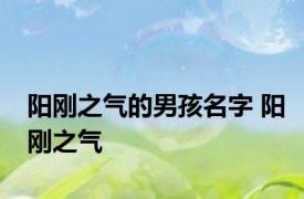 阳刚之气的男孩名字 阳刚之气 