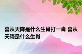 喜从天降是什么生肖打一肖 喜从天降是什么生肖 