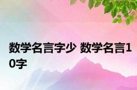 数学名言字少 数学名言10字 