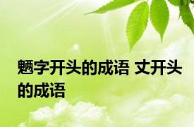 魉字开头的成语 丈开头的成语 