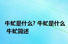 牛虻是什么? 牛虻是什么 牛虻简述