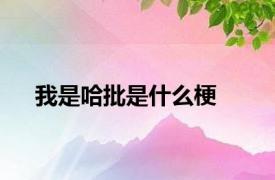 我是哈批是什么梗