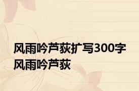 风雨吟芦荻扩写300字 风雨吟芦荻 